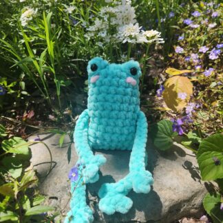 Leggy Frog