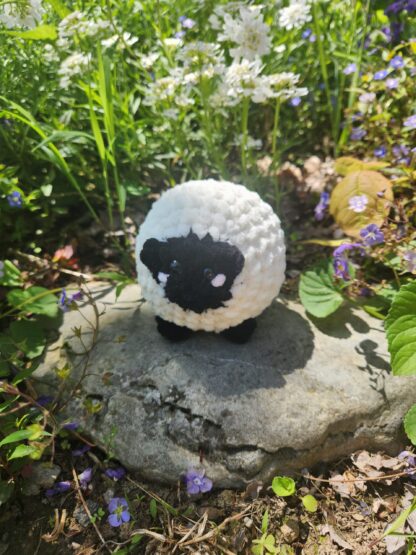 Round Sheep