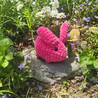 Round Bunny