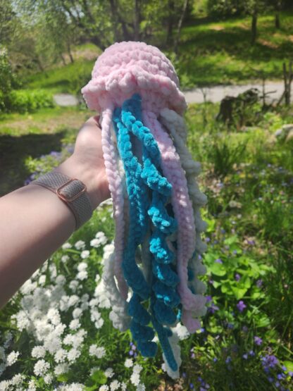 Large Jellyfish