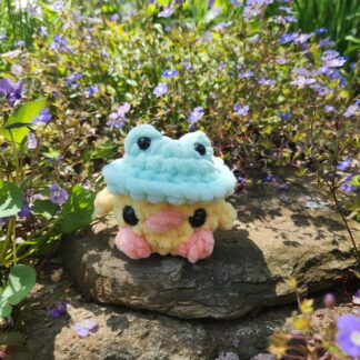 Duck with Frog Hat