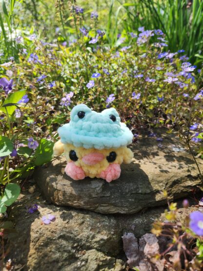 Duck with Frog Hat