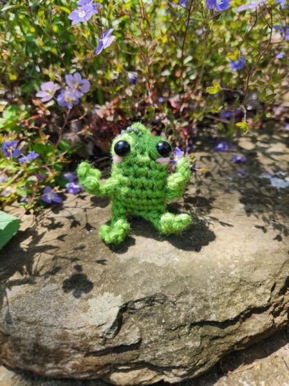 Baby Leggy Frog (Ww)