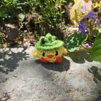 Duck with Frog Hat (Ww)