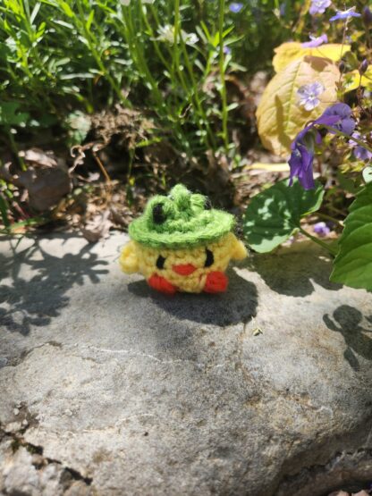Duck with Frog Hat (Ww)